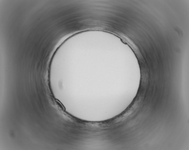 X0000112080956200909011041