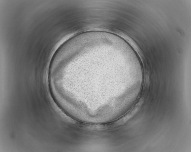 X0000112080957200909011041