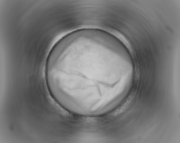 X0000112080958200909011041