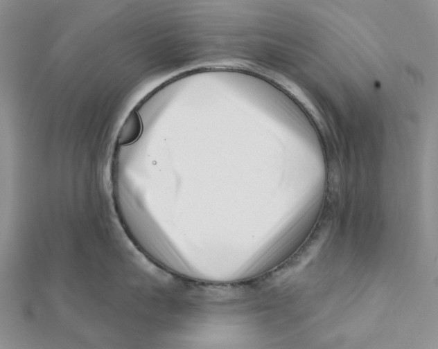 X0000112080959200909011041