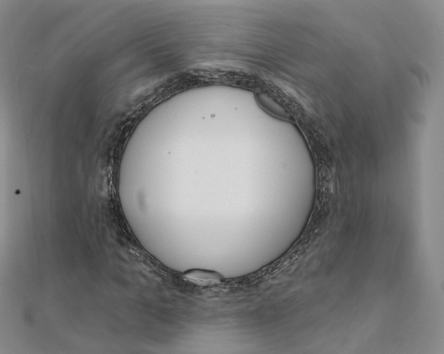 X0000112080965200909011040