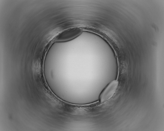 X0000112080969200909011040