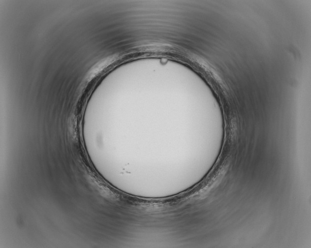 X0000112080970200909011040