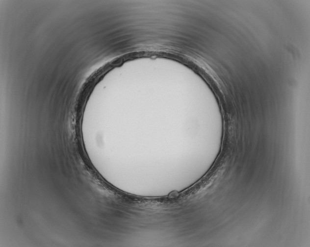 X0000112080971200909011040