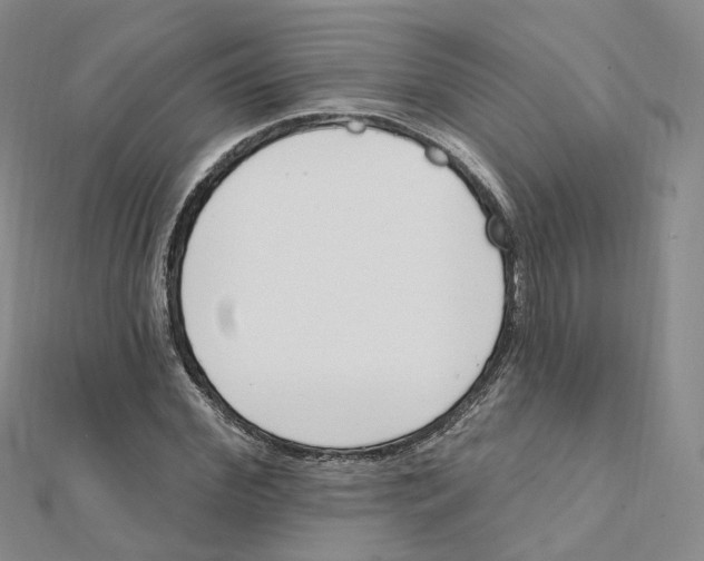 X0000112080972200909011040