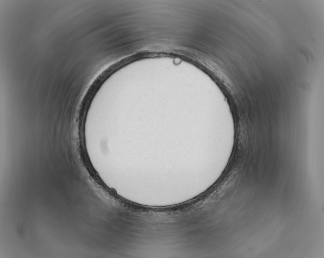 X0000112080976200909011040
