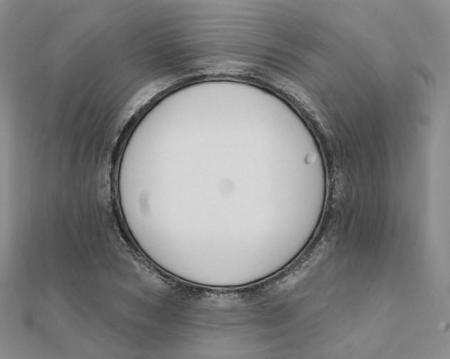 X0000112080978200909011040