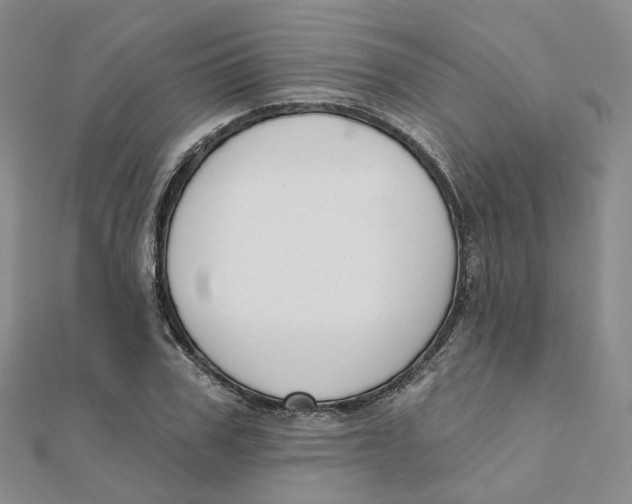 X0000112080979200909011040