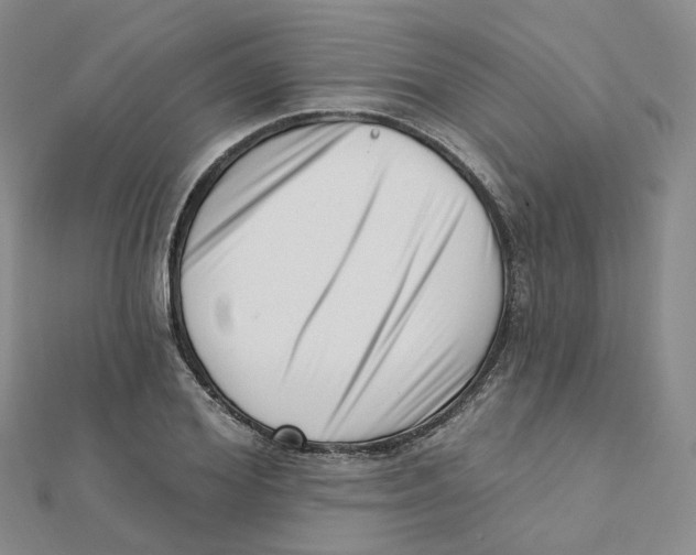 X0000112080980200909011040