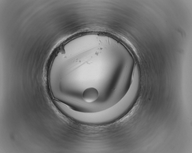 X0000112080981200909011040