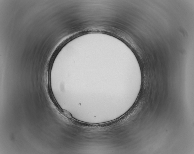 X0000112080984200909011040