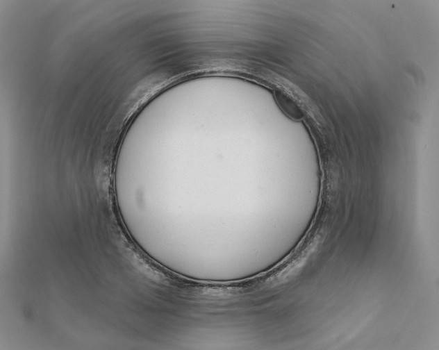 X0000112080985200909011040