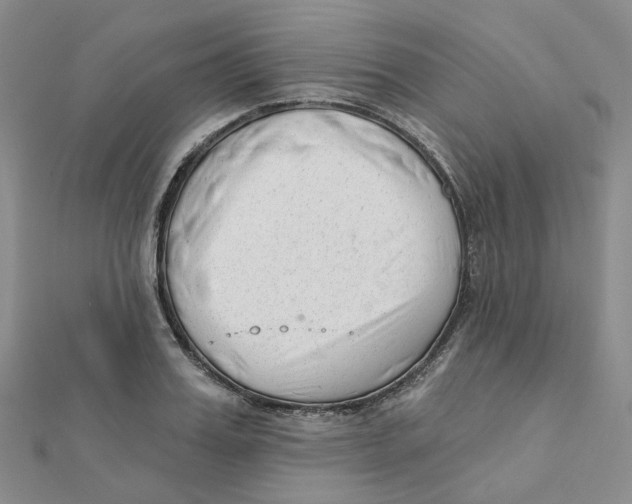 X0000112080987200909011040