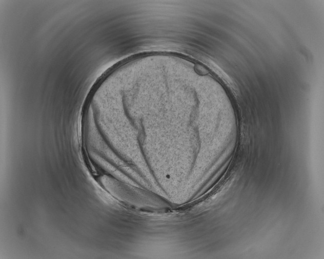 X0000112080988200909011040