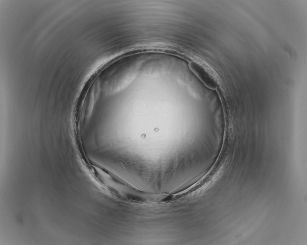 X0000112080989200909011040