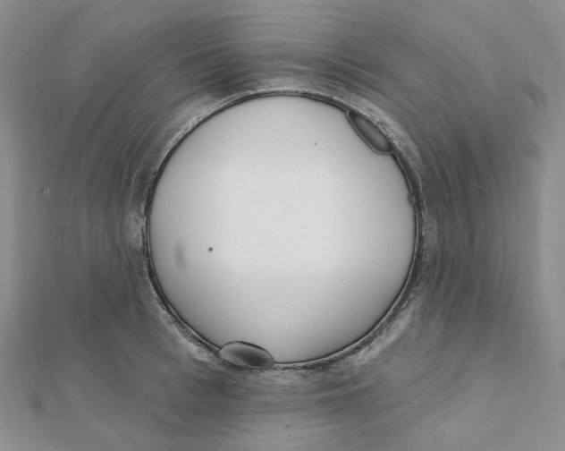 X0000112080993200909011040