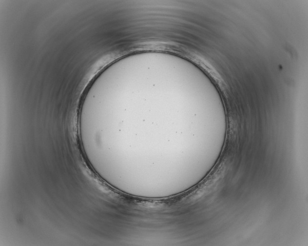 X0000112080994200909011040