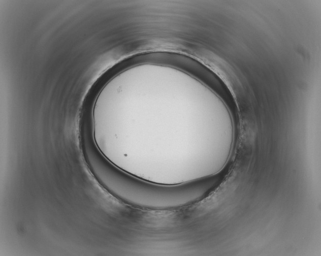 X0000112080997200909011040