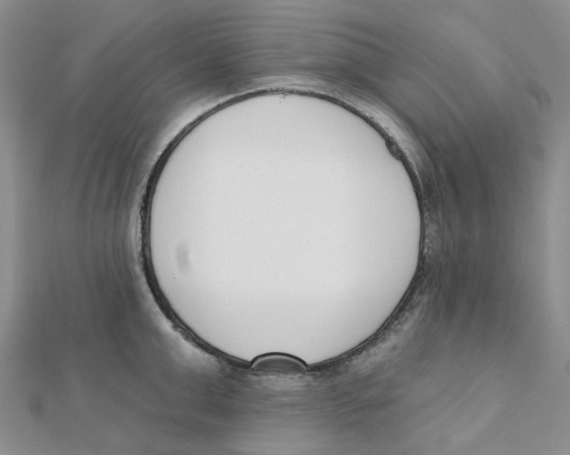 X0000112080999200909011040