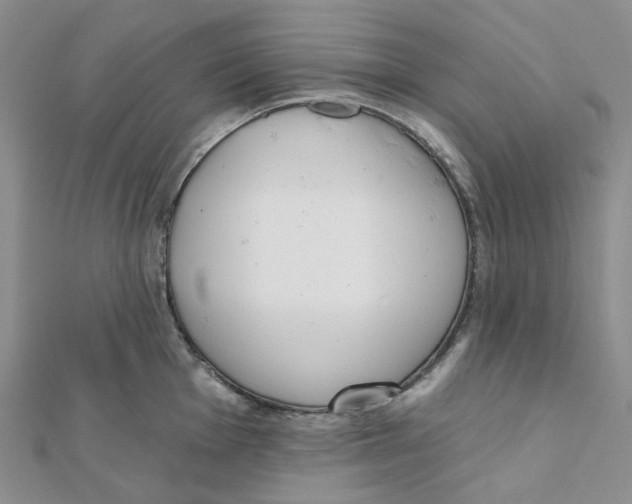 X0000112081001200909011040