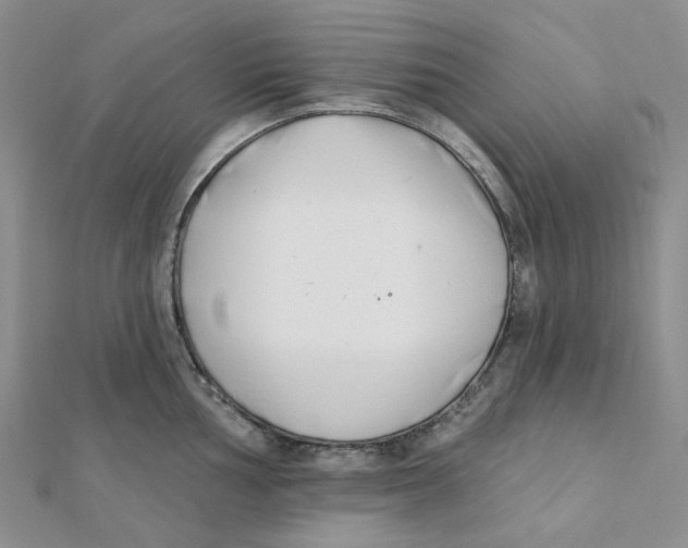 X0000112081002200909011040