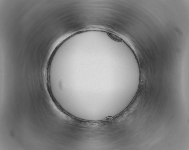 X0000112081003200909011040
