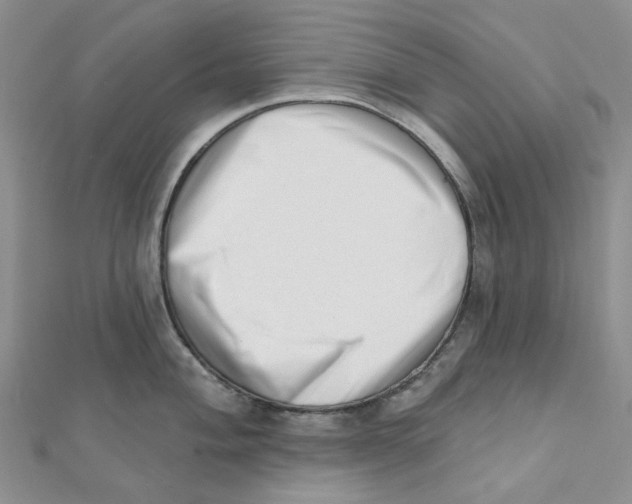 X0000112081004200909011040