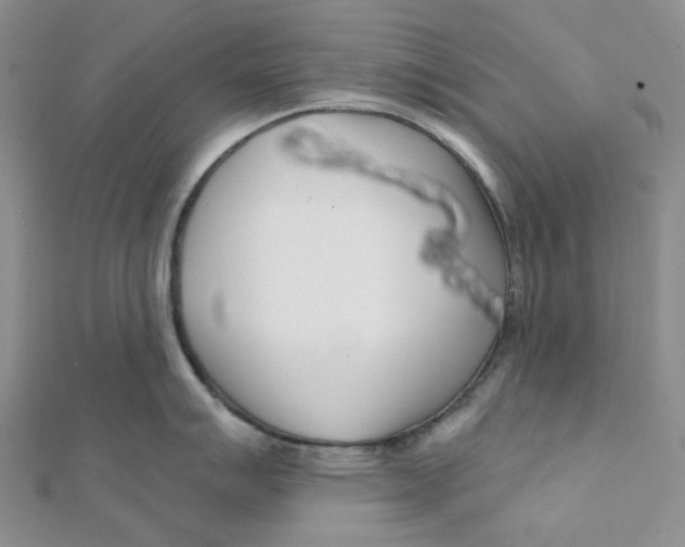X0000112081007200909011040