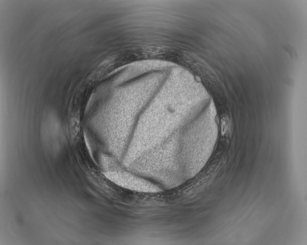 X0000112081011200909011039