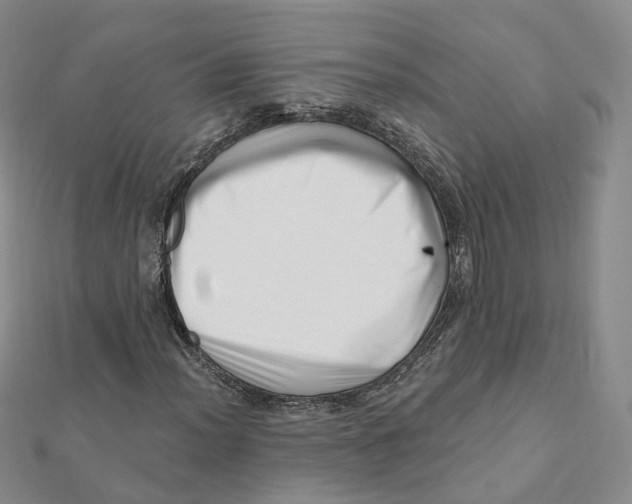 X0000112081012200909011039