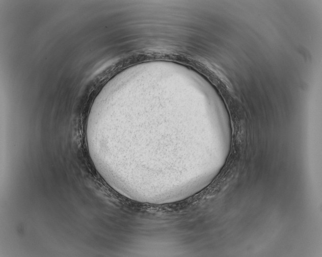 X0000112081015200909011039