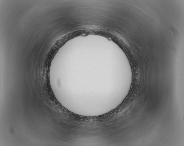 X0000112081016200909011039