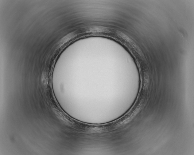 X0000112081017200909011039