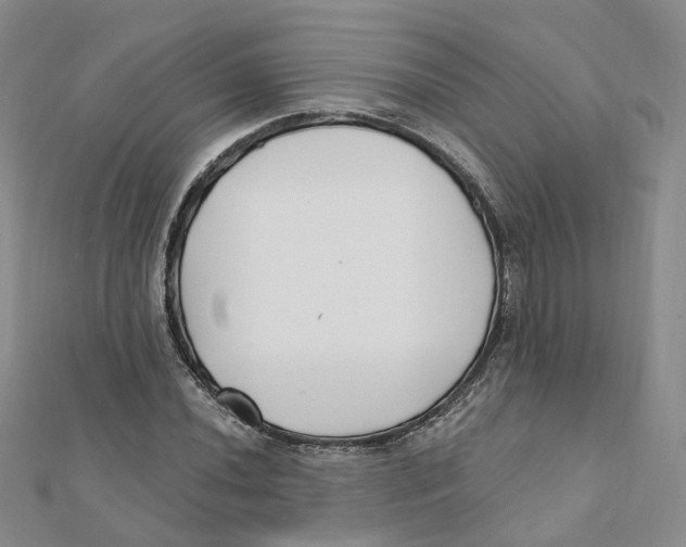 X0000112081020200909011039