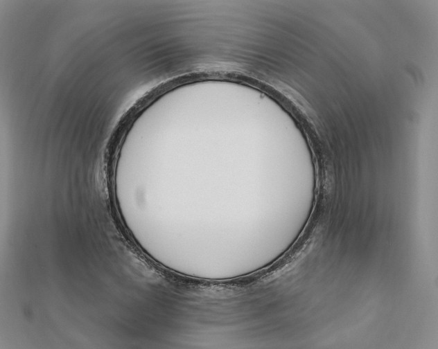 X0000112081022200909011039