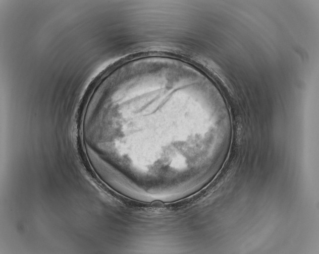 X0000112081024200909011039