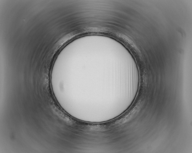X0000112081025200909011039