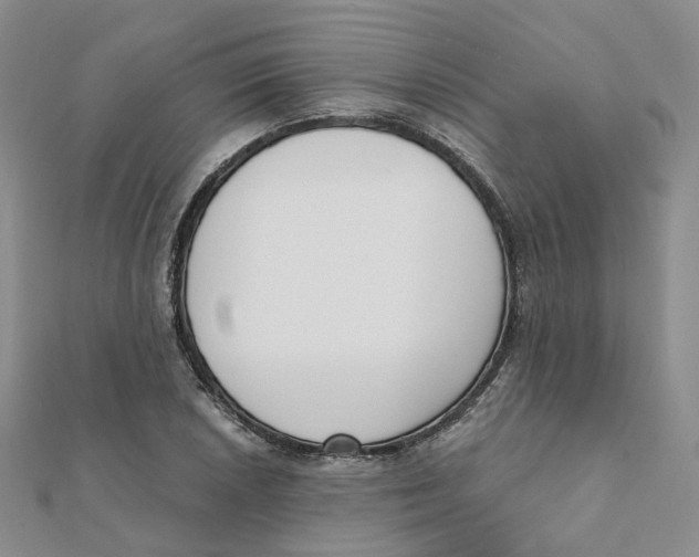 X0000112081026200909011039