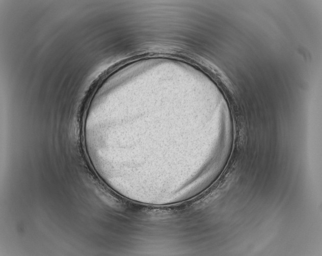 X0000112081027200909011039