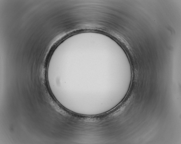 X0000112081029200909011039