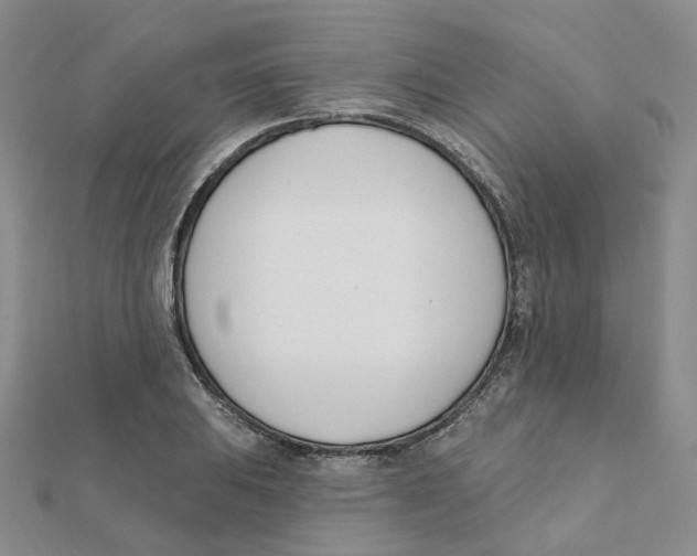 X0000112081031200909011039