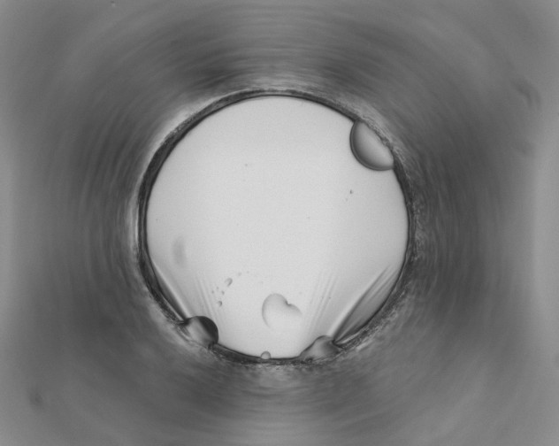 X0000112081032200909011039