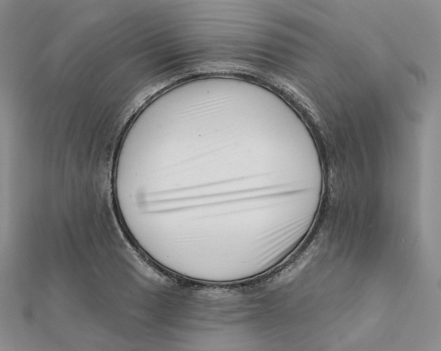 X0000112081033200909011039