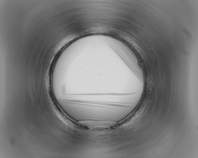 X0000112081034200909011039