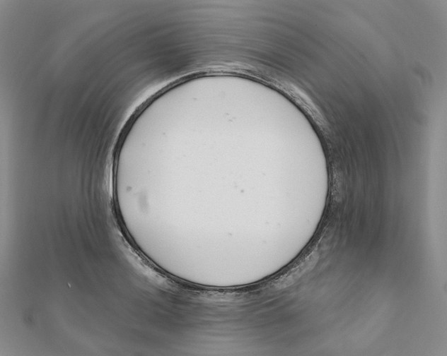 X0000112081036200909011039