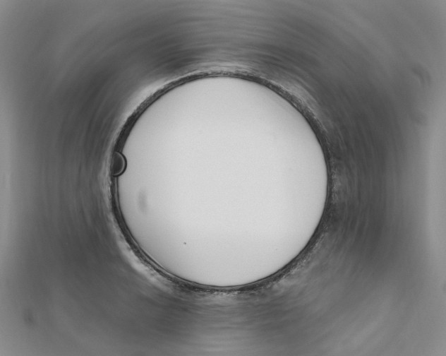 X0000112081038200909011039