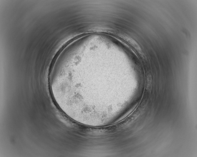 X0000112081039200909011039