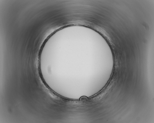 X0000112081040200909011039