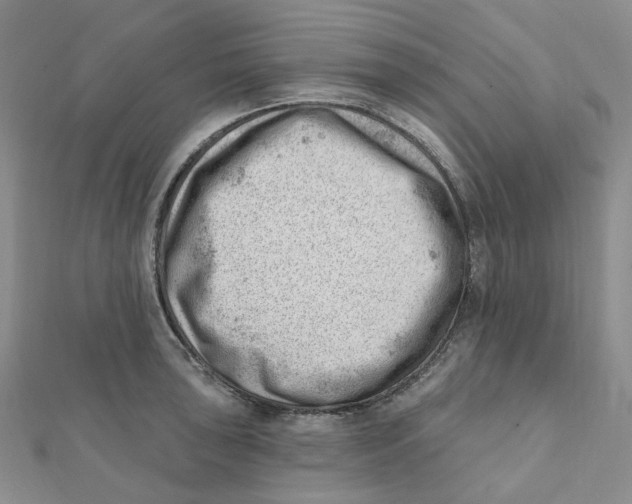 X0000112081043200909011039