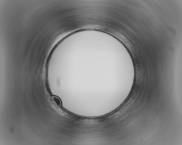 X0000112081044200909011039